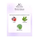 Dries Van Noten Santal Greenery Парфюмерная вода унисекс 100 мл фото 5