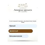 Brioni Labdanum Brut Духи унисекс 80 мл фото 6