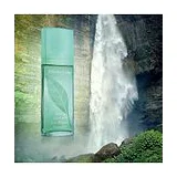 Elizabeth Arden Green Tea 50 мл парфюмерная вода фото 4