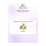 Gucci Osmanthus Nectar Парфюмерная вода унисекс 100 мл фото 3