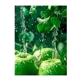 PARFUMS DE MARLY Greenley Парфюмерная вода унисекс 1.5 мл фото 4