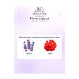 Baldessarini Private Affairs Туалетная вода мужская 90 мл фото 5