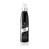 DsD de Luxe - 5.5 Restructuring Treatment Silk and Steel Спрей Восстанавливающий 100 мл фото 1