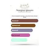Brunello Cucinelli Vento Ardente Духи унисекс 100 мл фото 4