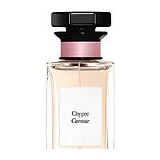Givenchy Chypre Caresse Парфюмерная вода унисекс 100 мл фото 5