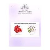 Montana Collection Edition 2 Парфюмерная вода женская 100 мл фото 4