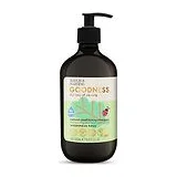 Baylis & Harding - Goodness Kids Watermelon Crush Conditioning Shampoo Детский шампунь без слез 500 мл фото 1