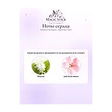 Salvatore Ferragamo Signorina In Fiore Туалетная вода женская 20 мл фото 4