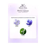 Regalien Sandal Harmony 7 Парфюмерная вода мужская 100 мл фото 4