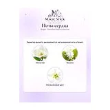 Bvlgari Splendida Magnolia Sensuel Парфюмерная вода женская 100 мл фото 5