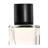 Banana Republic Cypress Cedar Парфюмерная вода унисекс 150 мл фото 4