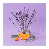 COMPAGNIE DE PROVENCE Набор: Lavande Aromatique жидкое мыло для тела и рук 300 мл + санитайзер 100 мл фото 7