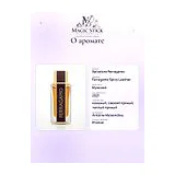 Salvatore Ferragamo Ferragamo Spicy Leather Духи мужские 100 мл фото 7
