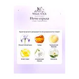 V Canto F. da Montefeltro Духи унисекс 100 мл фото 4