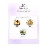 Comptoir Sud Pacifique Lime Tropical Туалетная вода унисекс 10 мл фото 5