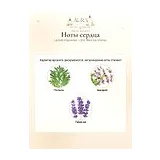 Lacoste Fragrances L.12.12. Blanc Eau Intense Туалетная вода мужская 50 мл фото 3