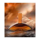 Calvin Klein Euphoria Amber Gold парфюмерная вода для женщин 100 мл фото 4