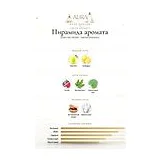 Dries Van Noten Santal Greenery Парфюмерная вода унисекс 100 мл фото 3