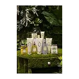 La Sultane De Saba Voyage Darjeeling Shower Cream (Ginger Green Tea )- крем душ Зеленый чай и Имбирь, 200 мл фото 2