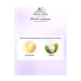 Lattafa Perfumes Aura Парфюмерная вода женская 60 мл фото 6