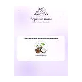 Gleam Perfume Cocco Bello Духи унисекс 50 мл фото 3