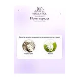 French Avenue Jade Духи женские 100 мл фото 5