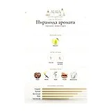 Atkinsons Amber Empire Туалетная вода унисекс 100 мл фото 3