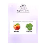 Bvlgari Splendida Patchouli Tentation Парфюмерная вода женская 100 мл фото 5