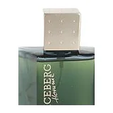 Iceberg Homme Туалетная вода мужская 100 мл фото 2