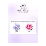 MDCI Parfums Rose de Siwa Парфюмерная вода женская 100 мл фото 5