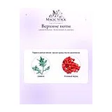 Lattafa Perfumes Niche Emarati Al Jawhara Парфюмерная вода унисекс 100 мл фото 4