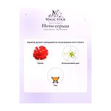 Vince Camuto Terra Extreme Парфюмерная вода мужская 100 мл фото 4