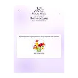 Gucci Osmanthus Nectar Парфюмерная вода унисекс 100 мл фото 4