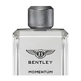 Bentley Momentum Туалетная вода мужская 100 мл фото 9