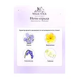 Stella McCartney Pop Bluebell Парфюмерная вода женская 30 мл фото 5