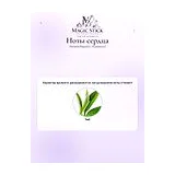 Banana Republic Rosewood Парфюмерная вода женская 100 мл фото 5