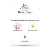 Lacoste Fragrances L.12.12. Bleu Парфюмерная вода мужская 100 мл фото 4