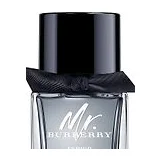 Burberry Mr. Burberry Indigo Туалетная вода мужская 100 мл фото 11