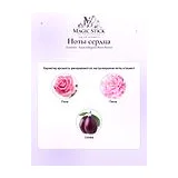 Guerlain Aqua Allegoria Rosa Rossa Туалетная вода женская 125 мл фото 5