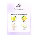 Armaf Seduction Pour Femme Парфюмерная вода женская 100 мл фото 3