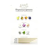 Al Haramain Perfumes Amber Oud Future Dubai Духи унисекс 100 мл фото 2