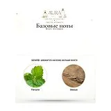 Brioni Iris Exquis Духи унисекс 80 мл фото 5