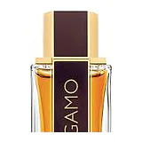 Salvatore Ferragamo Ferragamo Spicy Leather Духи мужские 100 мл фото 8
