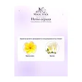Tommy Bahama St Kitts for Women Парфюмерная вода женская 100 мл фото 4
