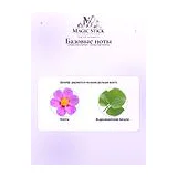Dries Van Noten Rosa Carnivora Парфюмерная вода унисекс 100 мл фото 5