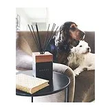 KNOSE HOME FRAGRANCE DIFFUSER GIFT TO MY BABE Ароматический диффузор 500 мл фото 5