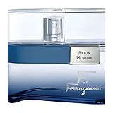Salvatore Ferragamo F by Ferragamo Free Time Туалетная вода мужская 100 мл фото 8