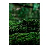 PARFUMS DE MARLY Greenley Парфюмерная вода унисекс 1.5 мл фото 10