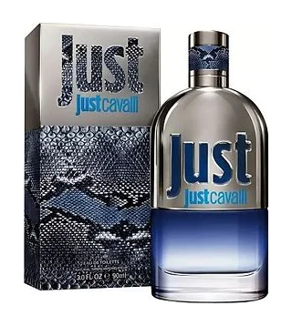 Roberto Cavalli Just Just Туалетная вода для мужчин 90 мл Roberto Cavalli
