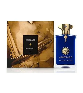 AMOUAGE Interlude 53 Man Extrait de Parfum 100 мл - духи Amouage